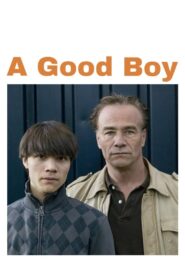 A Good Boy 2008 one on netflix