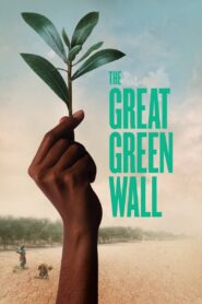 The Great Green Wall 2020 one on netflix