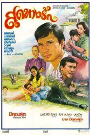 สุดทางรัก 1981 one on netflix