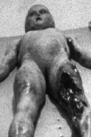 The Alien Autopsy 1995 one on netflix