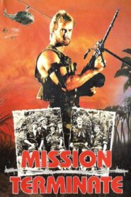Return of the Kickfighter 1987 one on netflix