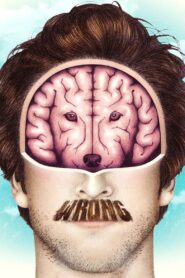 Wrong 2012 one on netflix