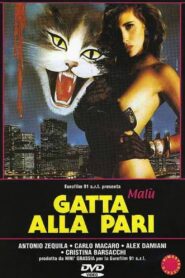 Gatta alla pari 1993 one on netflix