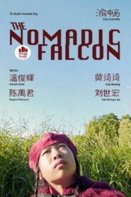 The Nomadic Falcon 2024 one on netflix