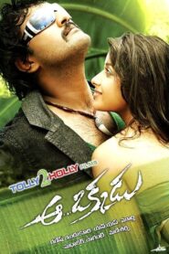 Aa Okkadu 2009 one on netflix