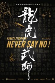 Kung Fu Stuntmen 2021 one on netflix