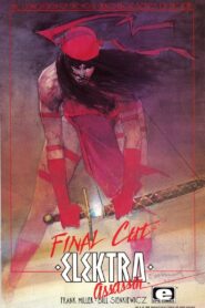 Elektra: Incarnations 2005 one on netflix