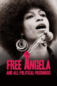 Free Angela and All Political Prisoners 2012 one on netflix