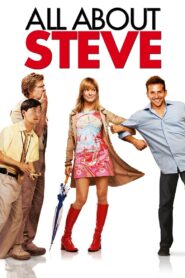 All About Steve 2009 one on netflix