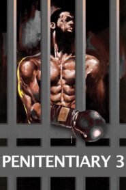 Penitentiary III 1987 one on netflix