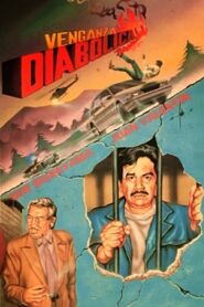 Diabolical Vengeance 1990 one on netflix