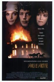 Fools of Fortune 1990 one on netflix