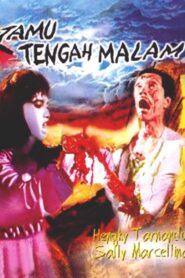 Midnight Guest 1989 one on netflix