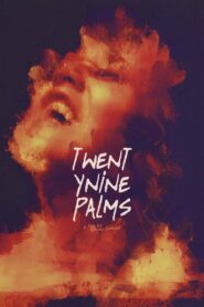 Twentynine Palms 2003 one on netflix