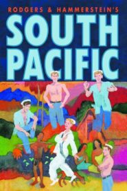 South Pacific 2010 one on netflix