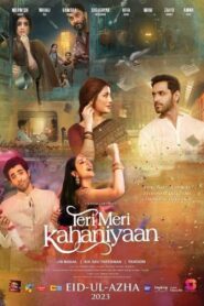 Teri Meri Kahaniyaan 2023 one on netflix