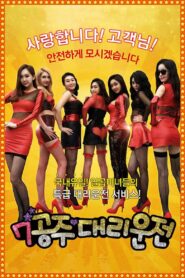 Seven Princess Driver 2015 one on netflix