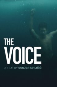 The Voice 2019 one on netflix