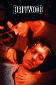 Driftwood 1997 one on netflix