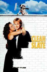 Clean Slate 1994 one on netflix