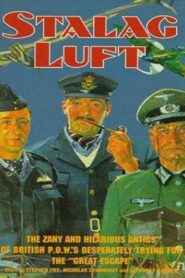 Stalag Luft 1993 one on netflix