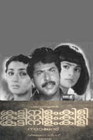 Koottinilamkili 1984 one on netflix
