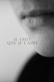 Il faut que je l’aime 1994 one on netflix