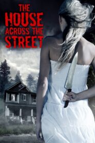 The House Across the Street 2013 one on netflix