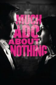 Much Ado About Nothing 2013 one on netflix