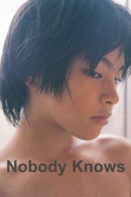 Nobody Knows 2004 one on netflix