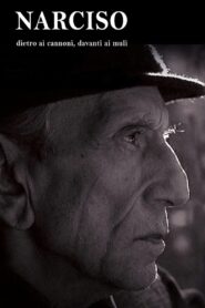 Narciso – Dietro ai cannoni, davanti ai muli 2008 one on netflix