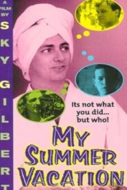 My Summer Vacation 1996 one on netflix