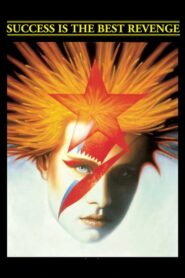 Success Is the Best Revenge 1984 one on netflix