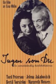No One Like You 1994 one on netflix