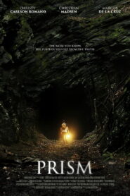 Prism 2015 one on netflix