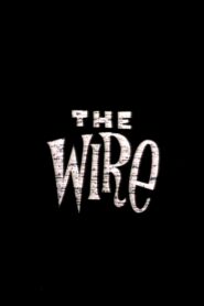 The Wire 1996 one on netflix