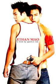 Ethan Mao 2004 one on netflix