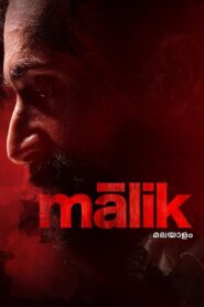 Malik 2021 one on netflix