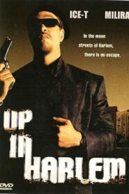 Up in Harlem 2004 one on netflix