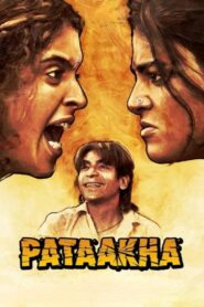 Pataakha 2018 one on netflix