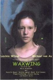 Waxwing 1998 one on netflix