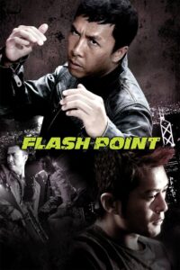 Flash Point 2007 one on netflix