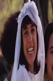 Festa de Casamento 1990 one on netflix