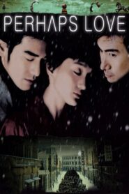 Perhaps Love 2005 one on netflix