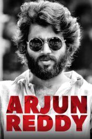 Arjun Reddy 2017 one on netflix