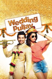 Wedding Pullav 2015 one on netflix