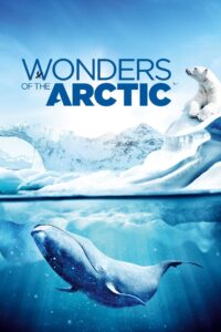 Wonders of the Arctic 2014 one on netflix