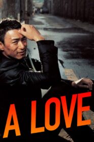 A Love 2007 one on netflix