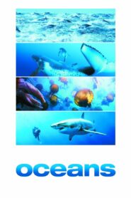 Oceans 2010 one on netflix
