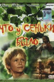 What Senka Said 1984 one on netflix